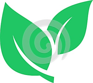 Leaves icon as environmental conservation concept