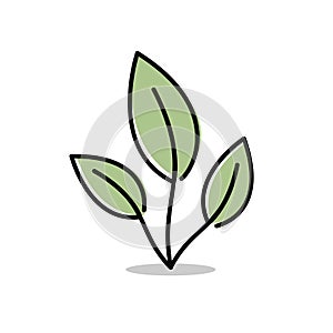Leaves icon isolated vector illustration