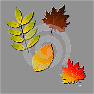 Leaves icon vector set isolated on white background. Various shapes of green leaves of trees and plants. Elements for eco