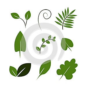 Leaves icons set, leaf, plant