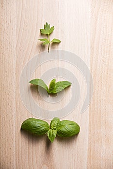 Leaves of lovage mint and basil on wooden background