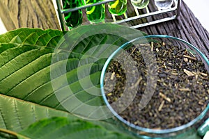 Leaves of Mitragyna speciosa kratom and Chemical analysis in Lab.