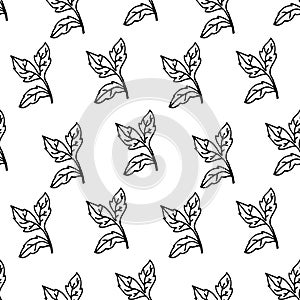 Leaves monochrome seamless pattern foliage and plant sprout