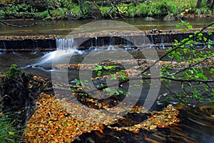 Leaves moving over the water of the Bayas River in the Gorbeia Natural Park. Basque Country. Spain photo