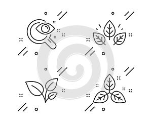 Leaves, Organic tested and Vision test icons set. Fair trade sign. Grow plant, Bio ingredients, Eyesight check. Vector