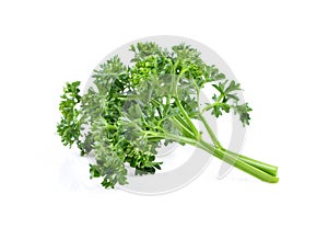 Leaves of parsley isolated on white background