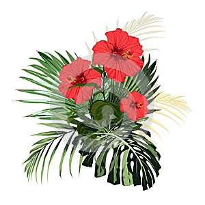 Botanical illustration, beautiful tropical flowers bouquet, red hibiscus flowers, palm leaves, exotic plants