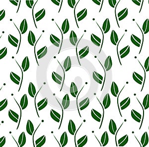 Leaves pattern  illustration isolated on white background