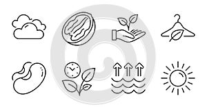 Leaves, Pecan nut and Slow fashion icons set. Evaporation, Beans and Cloudy weather signs. Vector
