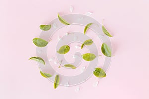 Leaves and petals floral round frame on pink background. Flat lay, top view. Green leaves and white petals