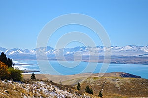 Leaves or plants on Mountain white snow in winter, Paradise places in New Zealand