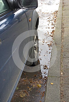 Leaves In Puddle