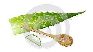 Leaves, pulp on wooden spoon and slices of medicinal pure aloe vera plant with gel drops isolated on white background