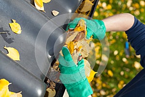 Leaves in rain gutter photo