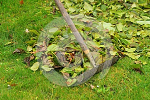 Leaves rake