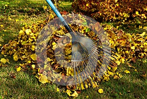 Leaves rake