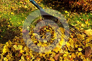 Leaves rake