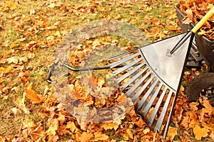 Leaves rake and wagon