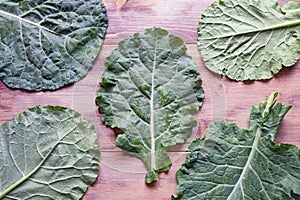 Leaves of rastan  Collard greens, collards    - popular leafy vegetables in Balkan cuisine