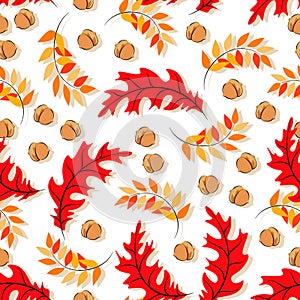 Leaves of red oak, acacia. Autumn vector background. Bright seasonal pattern design. Seamless pattern.