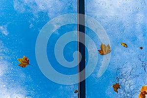 Leaves on a roof windown in Autumn