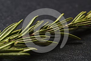 Leaves of rosemary on a dark background for cooking. Rosemary herbs close up