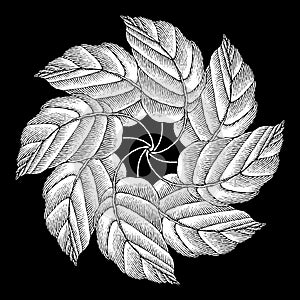 Leaves rosette original woodcut