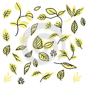 Leaves set with black outline contour