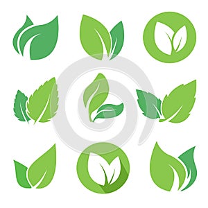 Green leaves logo set for eco natural products