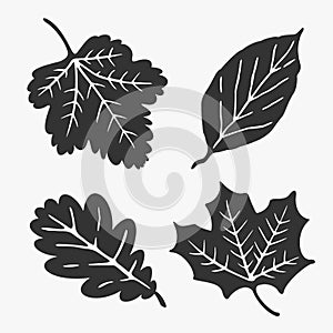 Leaves Silhouette Vector