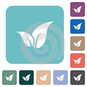 Leaves solid rounded square flat icons