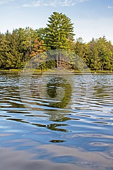 Leaves Starting To Change Color Along The Shoreline