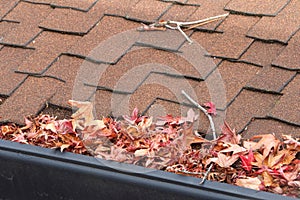 Leaves and sticks clog rain gutter on a home, close up