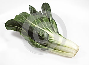 LEAVES OF SWISS CHARD beta vulgaris AGAINST WHITE BACKGROUND