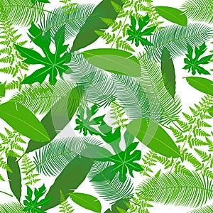 Leaves tropics icon pattern