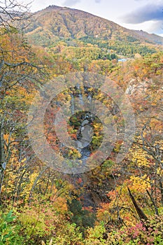 Leaves turning color in autumn in Naruko Gorge - Osaki, Miyagi, Japan