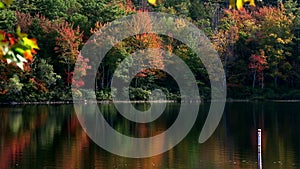 Leaves turning at Norton Pond, Maine