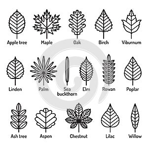 Leaves types with names icons vector set. Outline black icons.