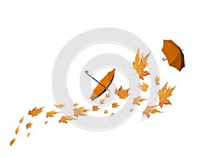 Leaves ubrellas autumn background wind yellow color