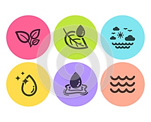 Leaves, Water drop and Leaf dew icons set. Travel sea, Water splash and Waves signs. Grow plant, Crystal aqua. Vector