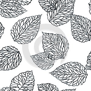 Leaves watercolor black white seamless pattern. Vector hand drawn ink doodle illustration. Wallpaper background design