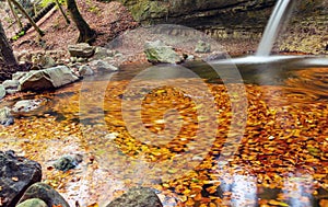 Leaves. Waterfall. Autumn. Forest. Water. Stone