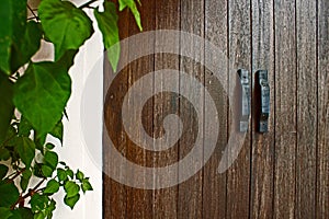 Leaves Wenge Wooden Doors Gate Handles Architecture Background