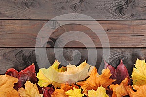 Leaves on wood