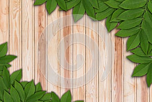 Leaves on wood background, Leaves frame.