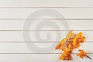 Leaves on a wooden plank background for backdrop