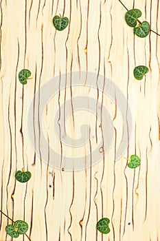 Leaves on wooden texture, `ice tree`