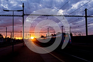 Train is hunting sun