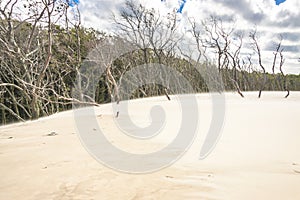 Leba dunes - Unesco place.