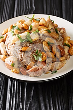 Lebanese Chicken and Rice Riz bi-Djaj closeup in the plate. vertical